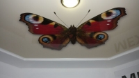 бабочка на натяжном потолке фотопечать